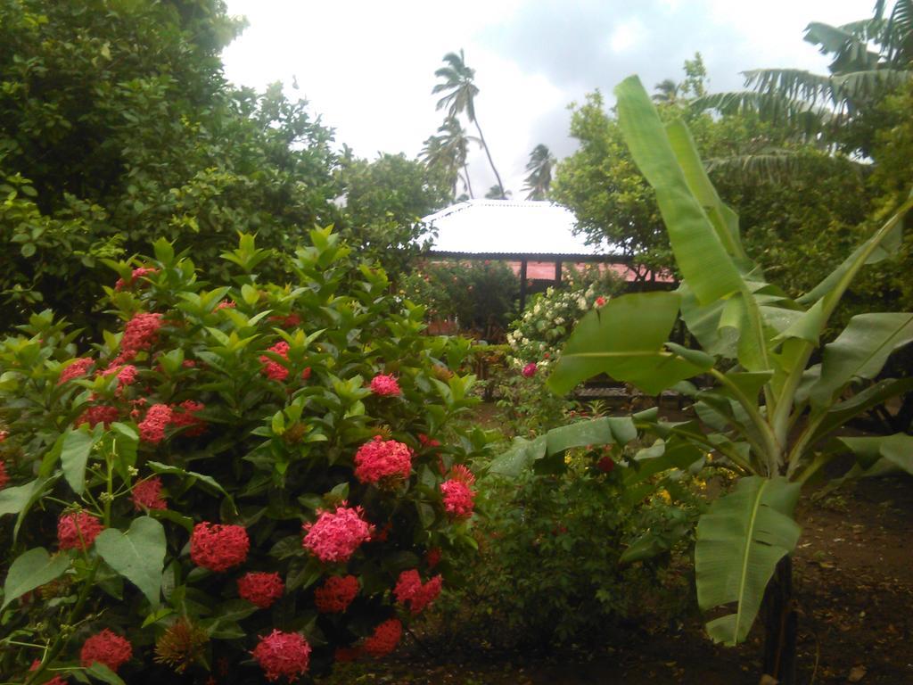 Hostal La Cascada San Ramon Мерида Экстерьер фото
